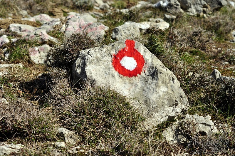 Красные точки приведут вас на место - ищите их на камнях, деревьях и столбах