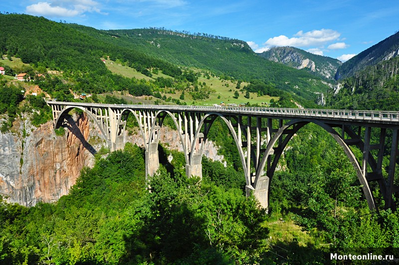 Мост Джурджовича-Черногория